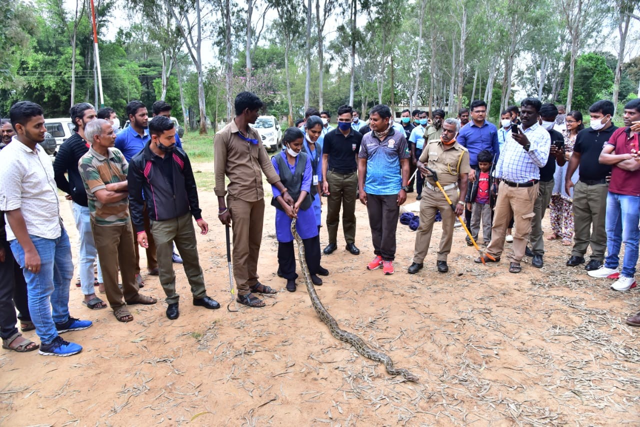 Participants  had a unique opportunity to interact with Snakes